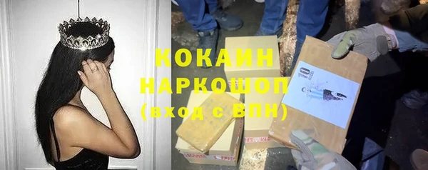 шишки Арсеньев