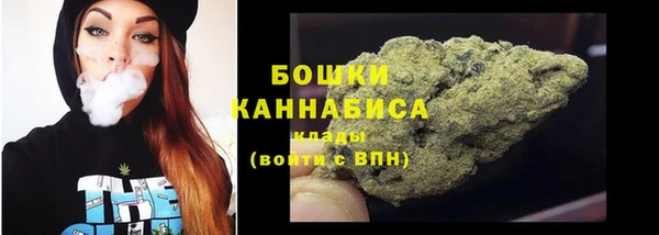 шишки Арсеньев