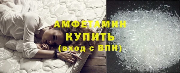 шишки Арсеньев