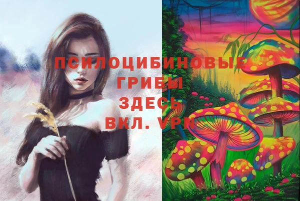 прущие крисы Армянск