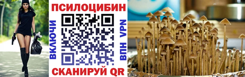 Псилоцибиновые грибы Magic Shrooms  блэк спрут зеркало  Курган 