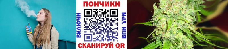 мега как зайти  Курган  Бошки марихуана конопля 